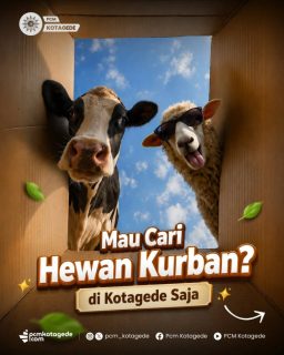🐄🐐 Mau cari hewan kurban?
Ini dia rekomendasi tempat penjualan hewan kurban yang bisa jadi pilihan untuk Iduladha tahun ini ✨

📍 PPHQ AMM Kotagede
📍 PHQ Kotagede (PRM Prenggan)
📍 Pusaka Qurban (PRM Jagalan)
📍 PHQ Jogja-Qu (PRM Depokan)
📍 Sentra Hewan Qurban (PRM Alun Alun Utara)
📍 PPHQ Basen (PRM Basen)
📍 Laqumu (PRM Alun-Alun Selatan)

Pastikan memilih hewan kurban yang sehat, sesuai syariat, dan terpercaya 🙌

🌐 Informasi selengkapnya: pcmkotagede.com

#pcmkotagede #muhammadiyah #kotagede #hewankurban #jualhewankurban